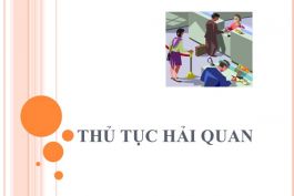 Dịch vụ khai báo thủ tục hải quan